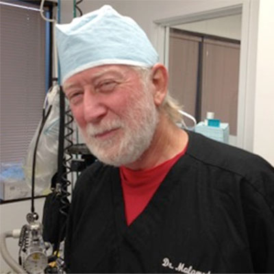 dr malamed